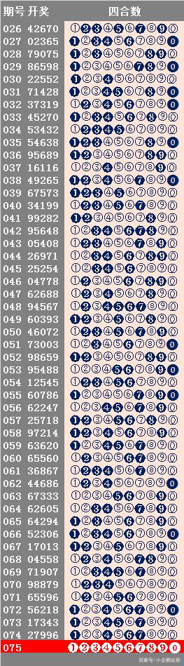 4949最快开奖资料4949,揭秘4949最快开奖资料，探索数字彩票的魅力