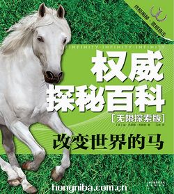 2024今晚澳门开特马四不像,探索澳门特马，四不像的魅力与未来展望（以2024今晚澳门特马为中心）