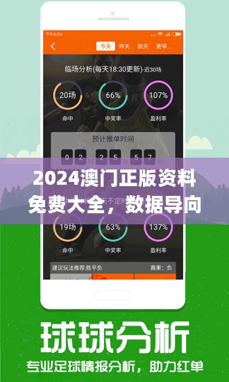 新澳2024年开奖记录,新澳2024年开奖记录详解