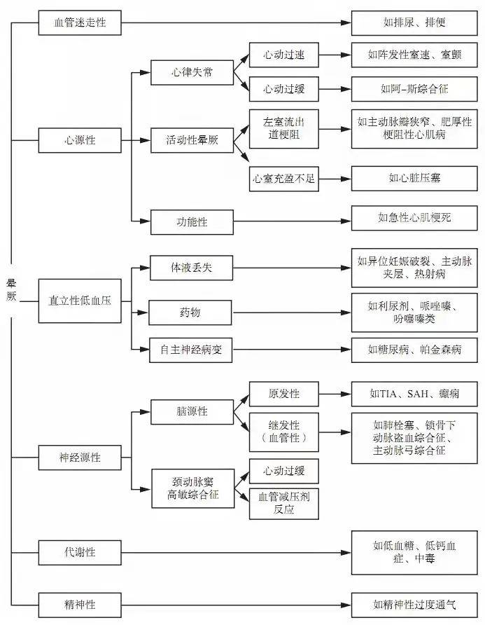 澳门鞋码一肖一,澳门鞋码一肖一，探寻背后的神秘与文化魅力