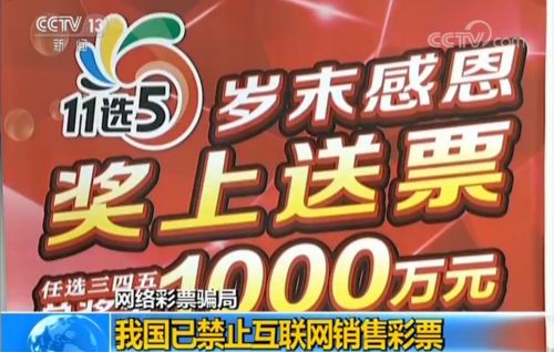 2024澳门天天开好彩大全开奖结果,揭秘彩票背后的秘密，澳门天天开好彩的开奖真相与风险警示