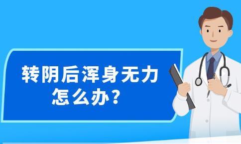 新澳精准资料大全免费更新,新澳精准资料大全免费更新，助力信息获取与知识共享的新篇章