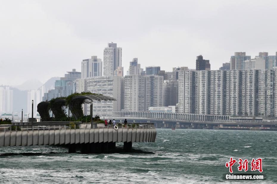 2024年香港正版资料免费大全, 2024年香港正版资料免费大全——探索信息的海洋