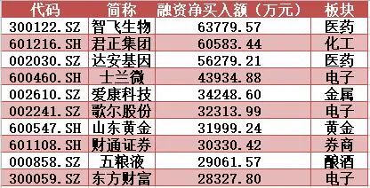 2024澳门马今晚开奖记录,揭秘澳门马今晚开奖记录，探寻背后的秘密与启示