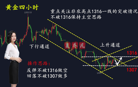 2025今晚特马开什么,关于今晚特马开什么的研究与预测——以2025年为背景