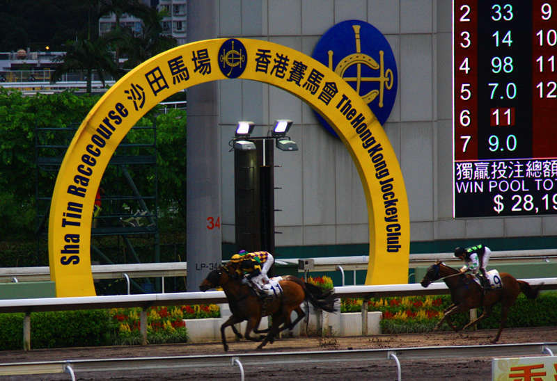 香港马买马网站www,香港马买马网站——探索赛马世界的门户