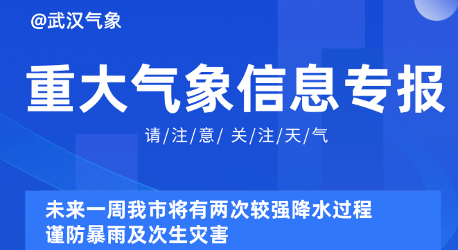 2025新奥资料免费精准109,探索未来，2025新奥资料免费精准获取之道（109细节详解）