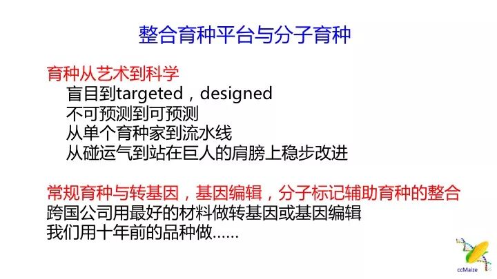 新澳资料免费最新正版,新澳资料免费最新正版，助力学术研究与个人成长的无价资源