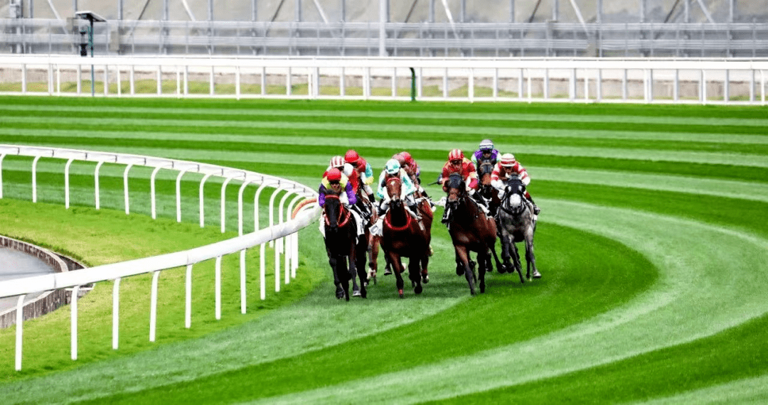 香港最准马会资料免费,香港最准马会资料免费，探索赛马世界的精准信息与资源