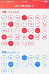 二四六天天好944cc彩资料全 免费一二四天彩004期 09-19-21-25-31-33Z：45,探索二四六的魅力，全彩资料与免费彩票预测