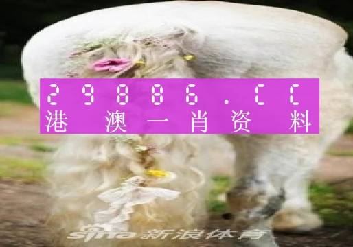 今晚一肖一码澳门一肖四不像005期 08-09-20-24-42-47M：46,今晚一肖一码澳门一肖四不像005期揭秘与解析，探寻神秘数字背后的故事（08-09-20-24-42-47M，46）