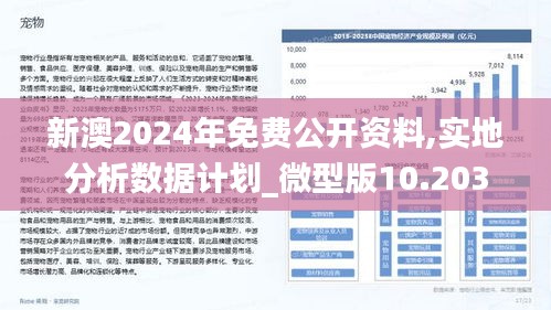 2025新澳兔费资料琴棋095期 06-19-32-45-46-48T：19,探索新澳琴棋资料，解析2025年第095期免费资料与关键数字组合